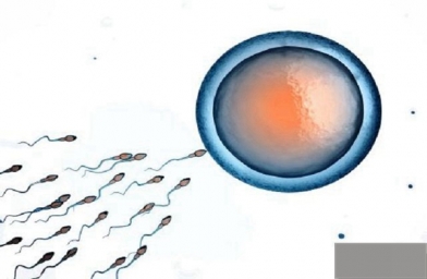 郑州试管婴儿胚胎移植后的注意事项